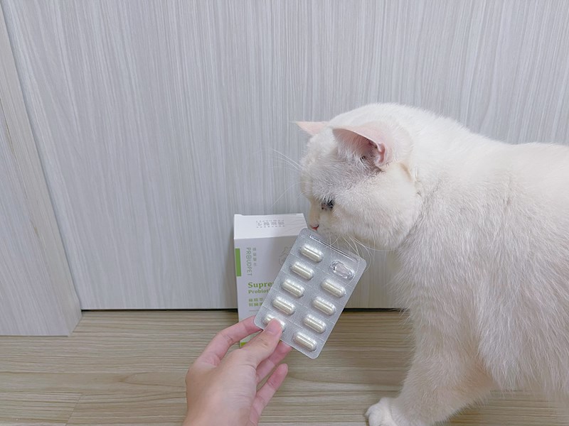 試用